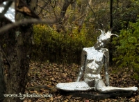 Woman in the Woods
